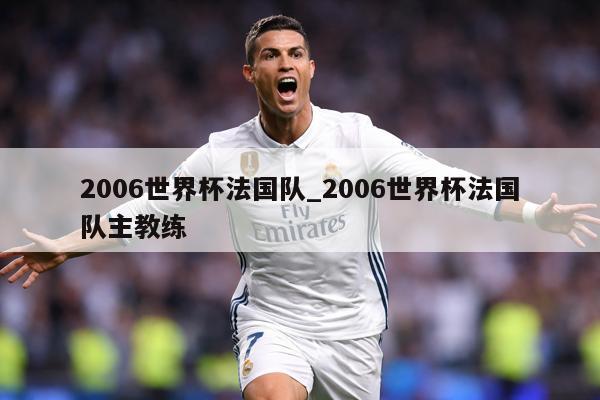 2006世界杯法国队_2006世界杯法国队主教练