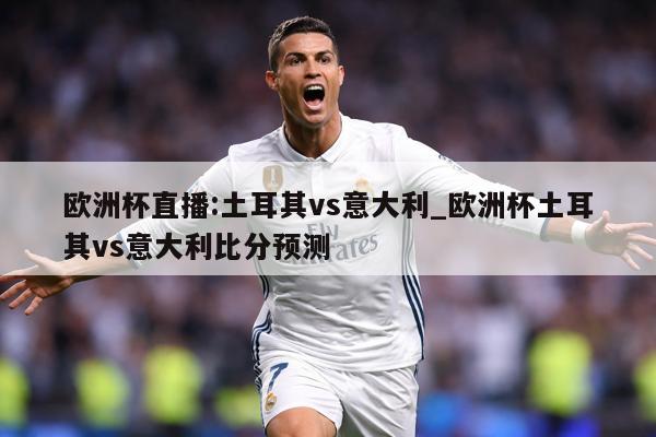 欧洲杯直播:土耳其vs意大利_欧洲杯土耳其vs意大利比分预测