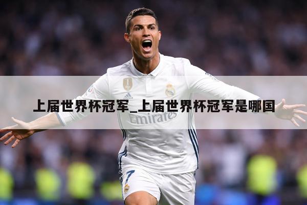 上届世界杯冠军_上届世界杯冠军是哪国