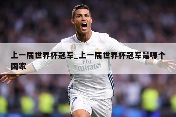 上一届世界杯冠军_上一届世界杯冠军是哪个国家