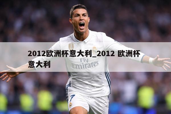 2012欧洲杯意大利_2012 欧洲杯 意大利
